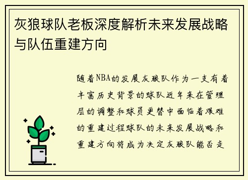 灰狼球队老板深度解析未来发展战略与队伍重建方向