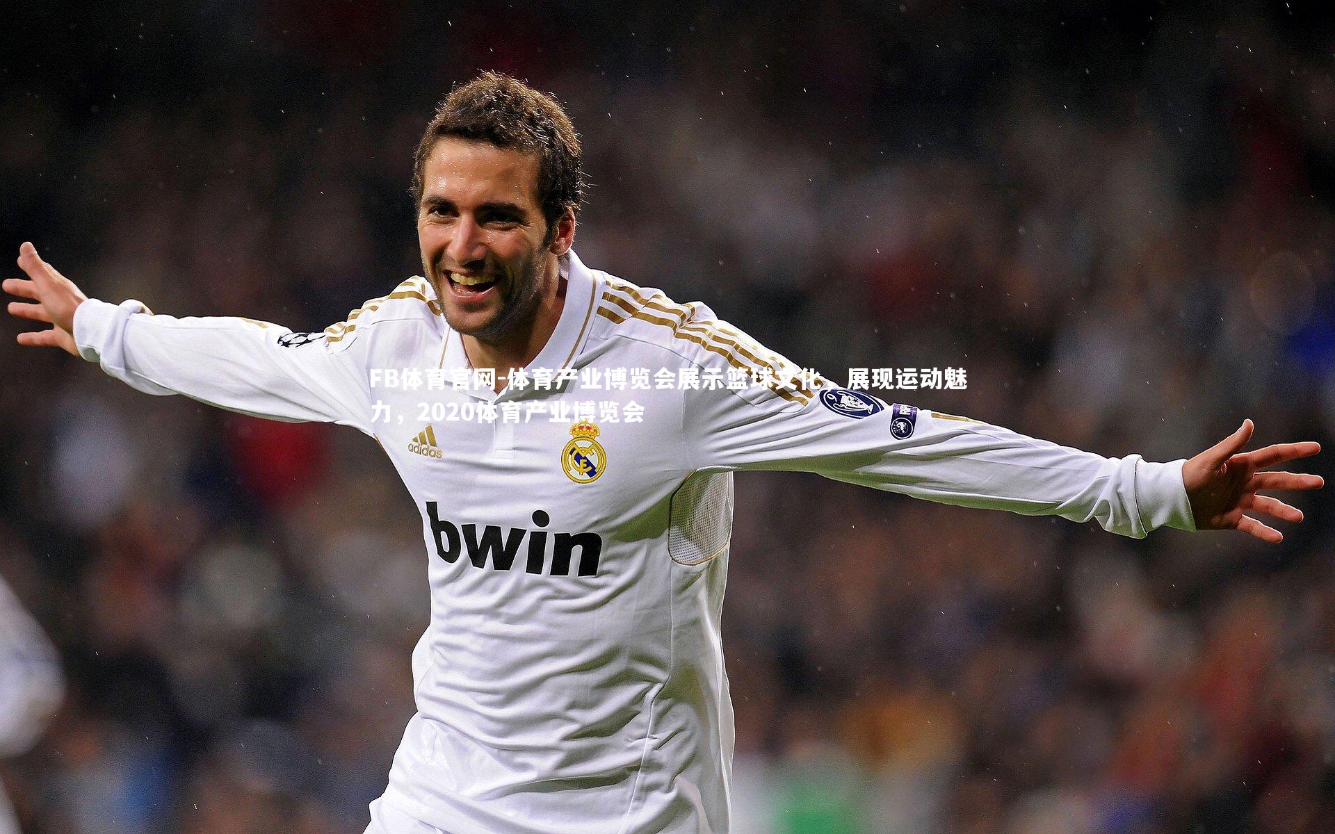 体育产业博览会展示篮球文化,展现运动魅力,2020体育产业博览会